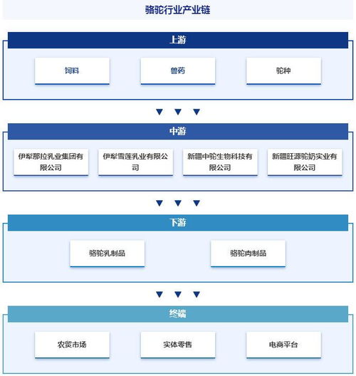 中国骆驼行业投资前景分析及未来发展趋势研究报告 智研咨询发布
